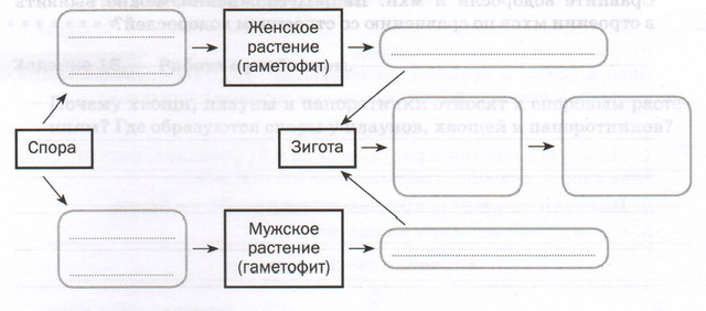 Задание рисунок 1
